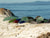 Sea Glass Jewellery