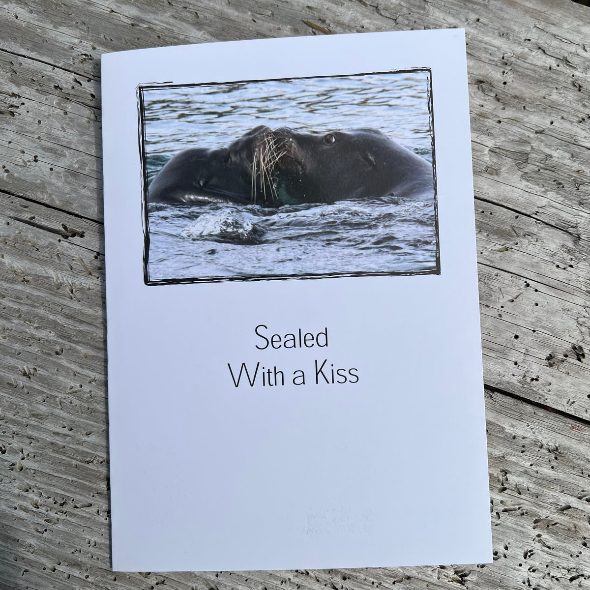 Kissing Seals Card